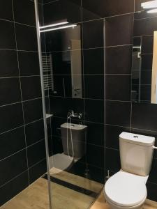 Un baño con azulejos negros, inodoro y ducha. en Apartman Senjak, en Pirot