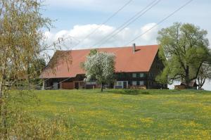 a house with a red roof on a green field at Altes Schulhaus in Argenbühl