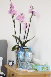 Fotografia z galérie ubytovania Apartament Targ Rybny LUXON Gdansk v destinácii Gdansk
