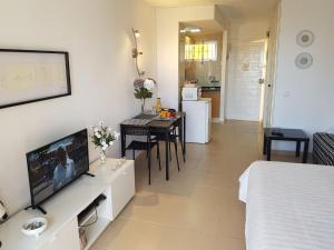 A television and/or entertainment centre at Apartamentos Minerva- Jupiter