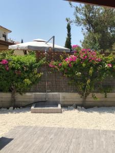 a fence with pink flowers and an umbrella at Giorgio Vacation House in Pissouri