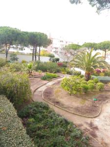 a garden with trees and bushes and a river at T3 Duplex, centre port, clim, garage, piscine in Cap d'Agde