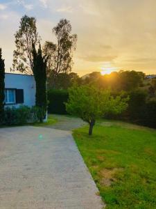 a pathway leading to a house with a tree at Villa Oliera in Saint-Florent