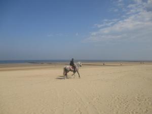 a person riding a horse on the beach at Studio On The Beach With Sea View in Middelkerke
