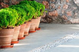 a row of potted plants sitting next to a wall at Orloff Resort in Spetses