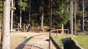 Fotografia z galérie ubytovania Harrachov Resident Apartments "Terrace & Chill" - high speed WiFi, možnost snídaně, Smart TV, Netflix, Disney plus v destinácii Harrachov