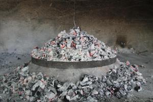 um monte de pássaros sentados em cima de um monte de cinzas em Apartment Vatrogasac em Sveti Filip i Jakov