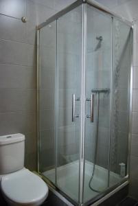 a shower with a glass door next to a toilet at Casa das Ondas Al-Gharb in Armação de Pêra