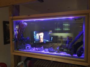 a large aquarium with purple lights in a room at Manhattan loft in Margate