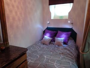 Huisseau-sur-CossonにあるGite du Colombier - Charme et Vieilles Pierresのベッドルーム1室(紫色の枕が付くベッド1台、窓付)