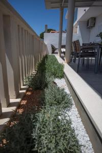un jardin avec des plantes sur le côté d'une terrasse couverte dans l'établissement Villa Juliet, à Dubrovnik