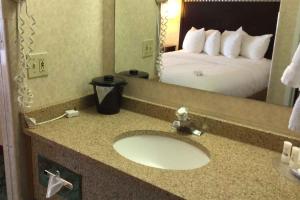 a bathroom with a sink and a mirror at Stay Wise Inns of Montrose in Montrose