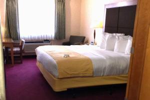 a hotel room with a large bed and a chair at Stay Wise Inns of Montrose in Montrose