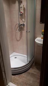 a shower in a bathroom with a toilet and a sink at Dana Guest House in Roja +43 photos