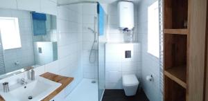 uma casa de banho com um chuveiro, um lavatório e um WC. em Karolówka em Horyniec