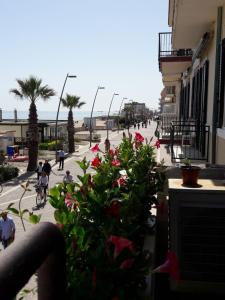 a view of a street with people and flowers at Soffio Di Mare in Porto Recanati