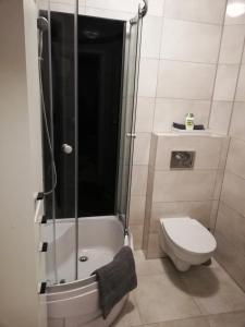 a bathroom with a shower and a toilet at Ostoja Kaczórki in Kaczórki +54 photos