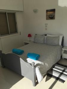 พื้นที่นั่งเล่นของ Orchard View Cottage +20 ภาพ