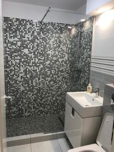 a bathroom with a shower with a toilet and a sink at Sarah Apartments in Piatra Neamţ +17 photos