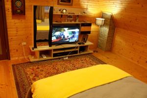 un soggiorno con TV e specchio di Felice Riposo a Kozevo