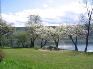 Gallery image of Camping Neubauer - Mobilheime in Millstatt