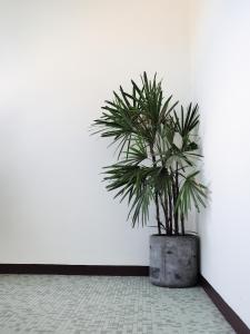 Fotografie z fotogalerie ubytování Siri Hotel Phuket ve městě Phuket
