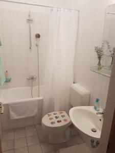 Koupelna v ubytování Apartments Podbarje