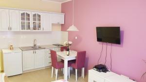 Kuchyň nebo kuchyňský kout v ubytování Lux Apartment Vidovic