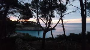 a view of the ocean from a hill with trees at Agroturisme Na Martina in Portopetro