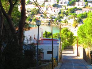 Príroda v okolí apartmánu