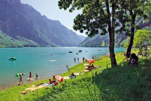 Gallery image of Hotel Rhodannenberg AG in Glarus