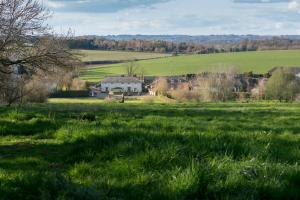 un campo de hierba verde con una casa en la distancia en The Hawk Inn, en Andover