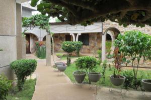 un cortile con una fila di piante e alberi in vaso di Hotel Agbeviade a Palimé