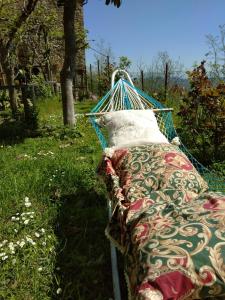 Giardino di House with stunning views