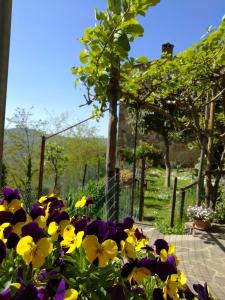 Giardino di House with stunning views