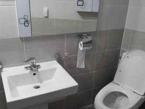 ein Badezimmer mit einem Waschbecken, einem WC und einem Spiegel in der Unterkunft Guest House Manna in Daegu