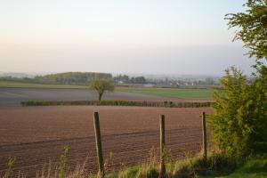 Příroda nedaleko bed and breakfast