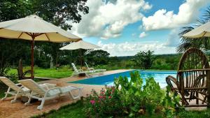 una piscina con sillas y sombrillas junto a una piscina en Estancia Bello Horizonte, en Puerto Maldonado