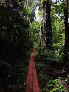 Fotografie z fotogalerie ubytování Estancia Bello Horizonte v destinaci Puerto Maldonado + 43 fotografií