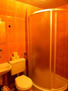 een badkamer met een douche, een toilet en een wastafel bij Tanie Spanie in Wysowa-Zdrój