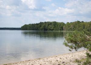 a view of a lake with trees in the background at Шале Озера in Melʼniki