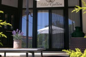 萨索斯Villa Gallen的相册照片