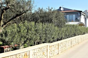 a hedge of olive trees in front of a house at Holiday House Zaton in Zaton