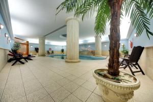 Vivaldi Hotel内部或周边的泳池