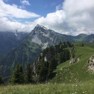 a mountain in the distance with a green field and trees at Gasthof Hirschen in Oey