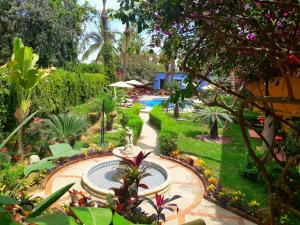 Zahrada ubytování El Encanto Inn & Suites