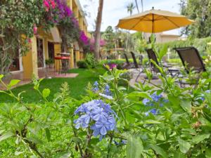 Zahrada ubytování El Encanto Inn & Suites