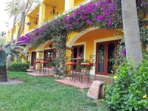 Zahrada ubytování El Encanto Inn & Suites