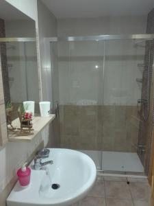 アロヨ・フリオにあるVivienda rodriguezのバスルーム(洗面台、ガラス張りのシャワー付)