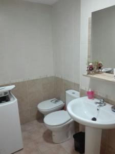アロヨ・フリオにあるVivienda rodriguezのバスルーム(トイレ、洗面台付)